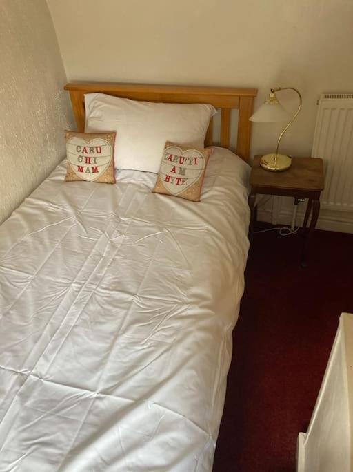 Lovely Peaceful 2 Bed Cottage Llandderfel Εξωτερικό φωτογραφία